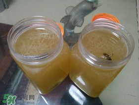 冬蜜多少錢一斤？冬蜜如何辨別真假？