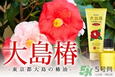 大島椿護(hù)發(fā)精油多少錢(qián)？大島椿護(hù)發(fā)精油日本價(jià)格