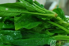 菠菜不能和什么一起吃?菠菜和什么食物相克嗎? 菠菜不能和什么一起吃?菠菜和什么食物相克嗎?