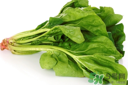 菠菜不能和什么一起吃?菠菜和什么食物相克嗎? 菠菜不能和什么一起吃?菠菜和什么食物相克嗎?