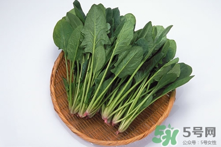 吃菠菜能減肥嗎？3日菠菜減肥食譜減肥不反彈