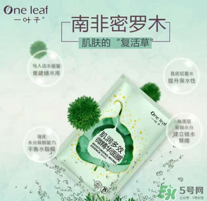 一葉子是哪個國家的？一葉子面膜是哪個國家的？