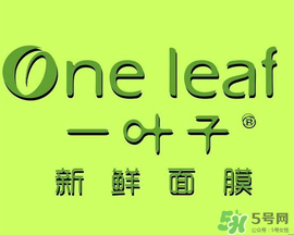 一葉子面膜會(huì)過敏嗎？一葉子面膜會(huì)不會(huì)過敏？