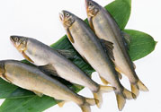 咽喉炎可以吃魚嗎？咽喉炎吃魚有什么好處？