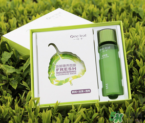 一葉子面膜怎么用？一葉子面膜使用方法