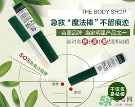 the body shop茶樹急救棒怎么用？美體小鋪茶樹祛痘急救棒用法