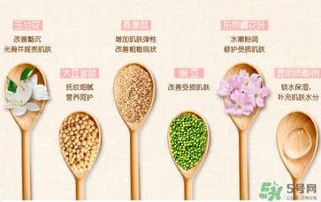 一葉子套裝怎么用？一葉子套裝使用說(shuō)明