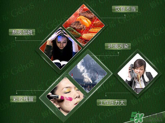 姬存希黃瓜膠多少錢？姬存希黃瓜膠價(jià)格