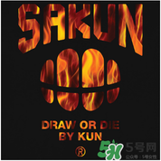 sakun是大品牌嗎？sakun是什么牌子