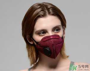 pm2.5口罩多少錢？pm2.5口罩價(jià)格