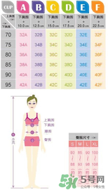 都市麗人內(nèi)衣怎么樣？都市麗人尺碼表
