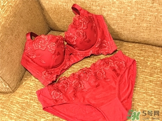 黛安芬內(nèi)衣怎么樣？黛安芬內(nèi)衣價格圖片