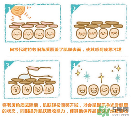 cure去角質(zhì)凝膠怎么用？cure去角質(zhì)使用方法