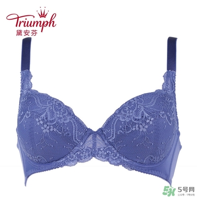 黛安芬內(nèi)衣怎么樣？黛安芬內(nèi)衣價格圖片