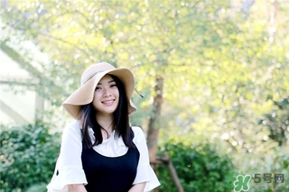黛安芬內(nèi)衣怎么樣？黛安芬內(nèi)衣價格圖片