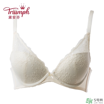 黛安芬內(nèi)衣怎么樣？黛安芬內(nèi)衣價格圖片