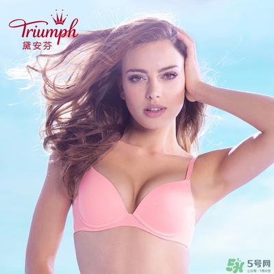 黛安芬內(nèi)衣怎么樣？黛安芬內(nèi)衣價格圖片