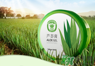 雅麗潔蘆薈膠多少錢？雅麗潔蘆薈膠好不好？