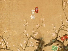 臘八節(jié)出生的女寶寶怎么取名？臘八節(jié)出生的男寶寶怎么取名？