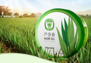 雅麗潔蘆薈膠多少錢？雅麗潔蘆薈膠好不好？