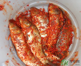 腌魚放多少鹽？腌魚放鹽的比例