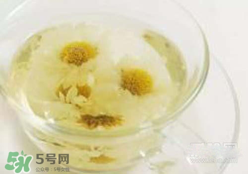 菊花茶什么時候喝最好？菊花茶什么季節(jié)喝最好？