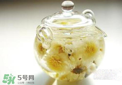 菊花茶什么時候喝最好？菊花茶什么季節(jié)喝最好？
