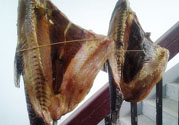 新鮮魚怎么腌制咸魚塊？咸魚塊怎么腌制