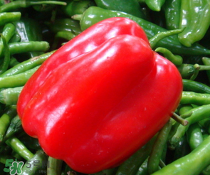 辣椒變紅能吃嗎？辣椒為什么會變紅？