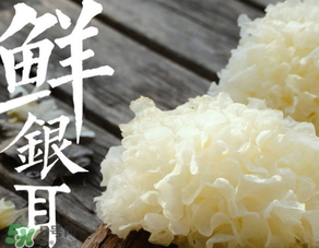 新鮮銀耳有毒嗎？新鮮銀耳怎么去毒？