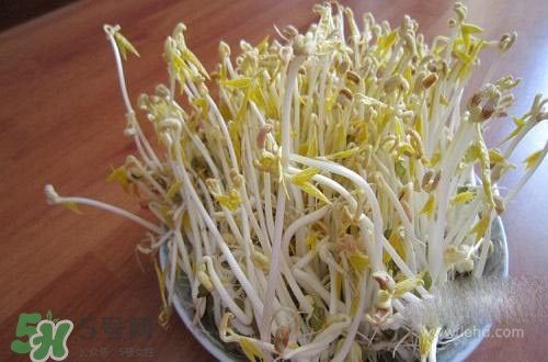 豆芽糖尿病可以吃嗎？糖尿病吃豆芽有什么好處？