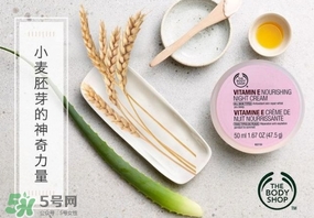 the body shop維e晚霜怎么用？美體小鋪維e晚霜使用方法
