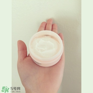 the body shop維e晚霜怎么用？美體小鋪維e晚霜使用方法