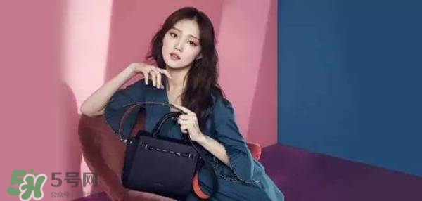 李圣經的包包什么牌子？李圣經包包同款