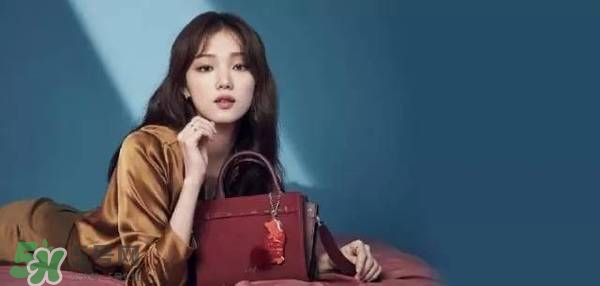 李圣經的包包什么牌子？李圣經包包同款