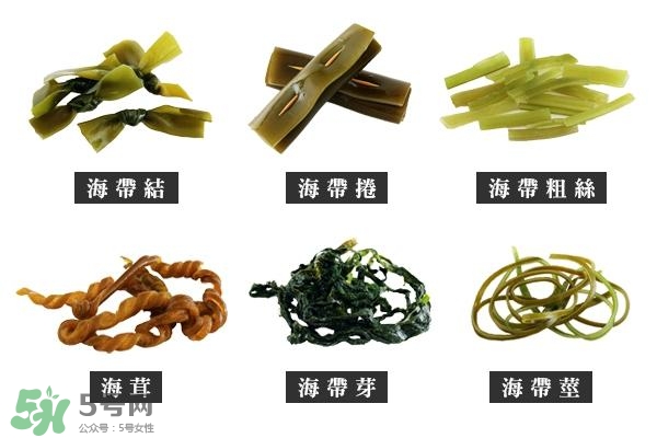 海帶上的白霜是什么？海帶上面有白色的東西那是什么