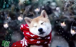 2017年冷空氣什么時(shí)候？2017年冷空氣最新消息