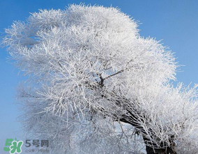 2017年第一場(chǎng)雪什么時(shí)候？2017年什么時(shí)候下雪？