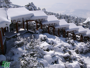2017年第一場(chǎng)雪什么時(shí)候？2017年什么時(shí)候下雪？
