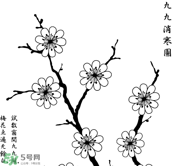 數(shù)九天什么時(shí)候最冷？數(shù)九天幾九最冷？