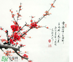 數(shù)九天什么時(shí)候最冷？數(shù)九天幾九最冷？