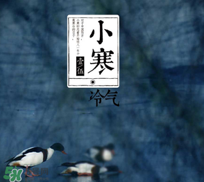 小寒和大寒哪個冷？小寒大寒什么意思？