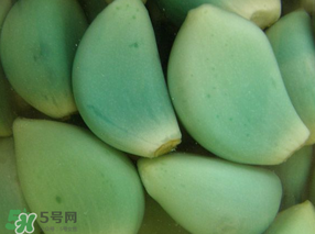 臘八醋里的蒜能吃嗎？臘八醋里的蒜好吃嗎？