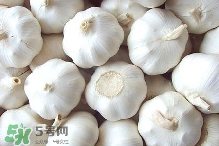 2017過(guò)年大蒜會(huì)漲價(jià)嗎？2017年春節(jié)大蒜價(jià)格預(yù)測(cè)