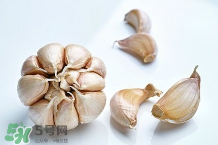 2017過(guò)年大蒜會(huì)漲價(jià)嗎？2017年春節(jié)大蒜價(jià)格預(yù)測(cè)