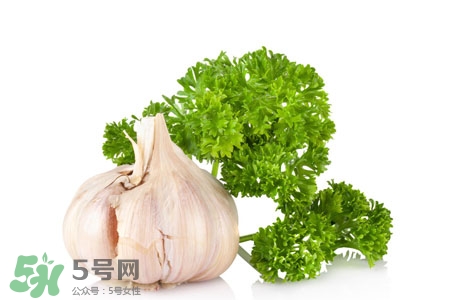 2017過(guò)年大蒜會(huì)漲價(jià)嗎？2017年春節(jié)大蒜價(jià)格預(yù)測(cè)
