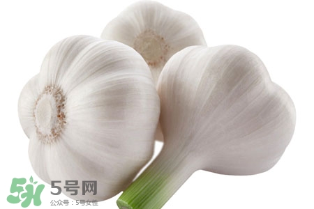 2017過(guò)年大蒜會(huì)漲價(jià)嗎？2017年春節(jié)大蒜價(jià)格預(yù)測(cè)
