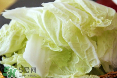 2017過年白菜會漲價嗎？2017年春節(jié)白菜價格預(yù)測