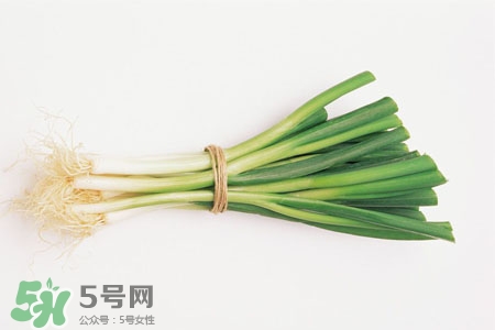 2017過年大蔥會漲價嗎？2017年春節(jié)大蔥價格預(yù)測
