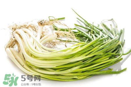 2017過年小蔥會(huì)漲價(jià)嗎？2017年春節(jié)小蔥價(jià)格預(yù)測(cè)